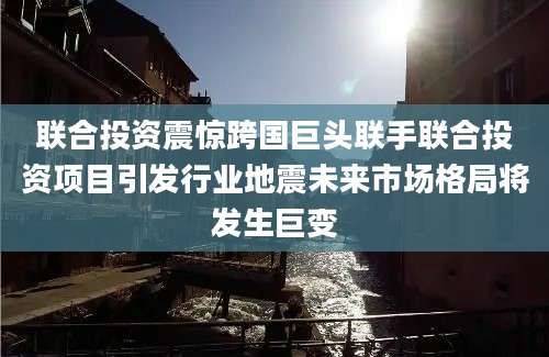 联合投资震惊跨国巨头联手联合投资项目引发行业地震未来市场格局将发生巨变