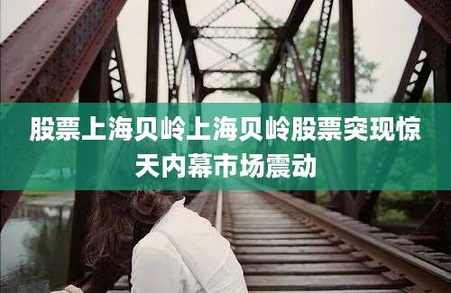 股票上海贝岭上海贝岭股票突现惊天内幕市场震动