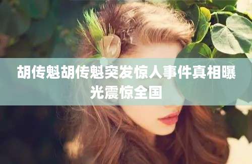 胡传魁胡传魁突发惊人事件真相曝光震惊全国