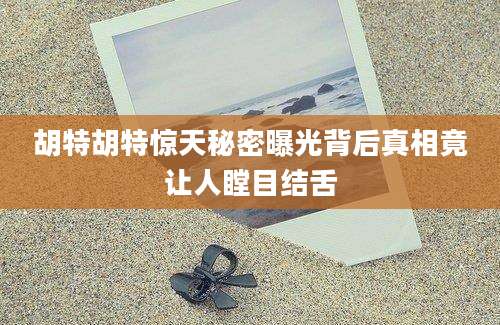胡特胡特惊天秘密曝光背后真相竟让人瞠目结舌