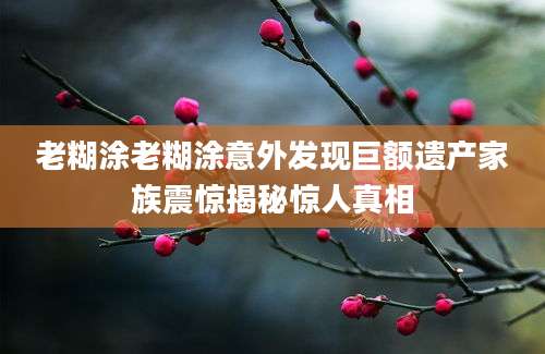 老糊涂老糊涂意外发现巨额遗产家族震惊揭秘惊人真相