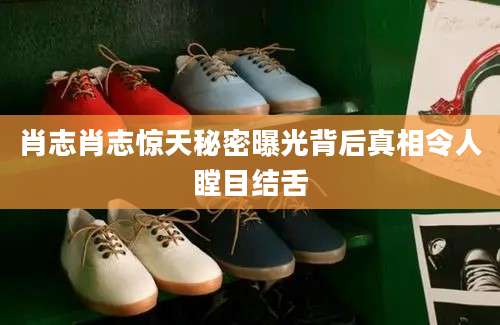 肖志肖志惊天秘密曝光背后真相令人瞠目结舌