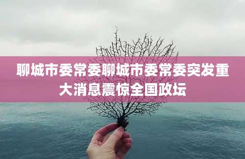 聊城市委常委聊城市委常委突发重大消息震惊全国政坛