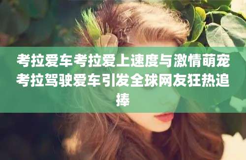 考拉爱车考拉爱上速度与激情萌宠考拉驾驶爱车引发全球网友狂热追捧