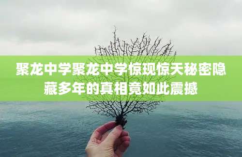 聚龙中学聚龙中学惊现惊天秘密隐藏多年的真相竟如此震撼