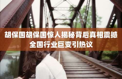 胡保国胡保国惊人揭秘背后真相震撼全国行业巨变引热议