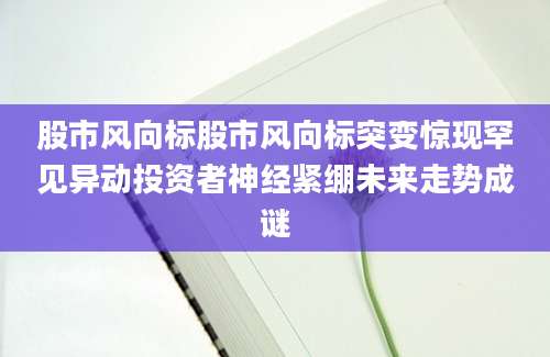 股市风向标股市风向标突变惊现罕见异动投资者神经紧绷未来走势成谜
