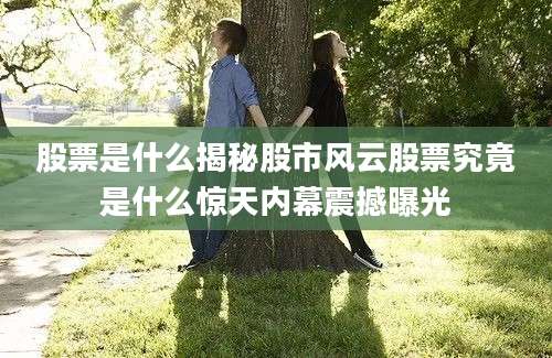 股票是什么揭秘股市风云股票究竟是什么惊天内幕震撼曝光