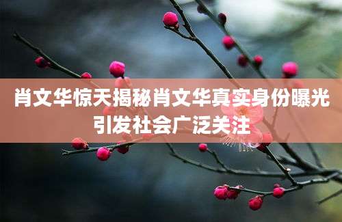 肖文华惊天揭秘肖文华真实身份曝光引发社会广泛关注