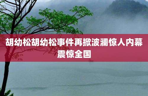 胡幼松胡幼松事件再掀波澜惊人内幕震惊全国
