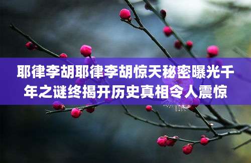 耶律李胡耶律李胡惊天秘密曝光千年之谜终揭开历史真相令人震惊