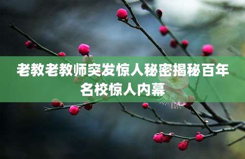 老教老教师突发惊人秘密揭秘百年名校惊人内幕