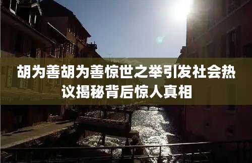 胡为善胡为善惊世之举引发社会热议揭秘背后惊人真相