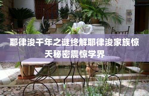 耶律浚千年之谜终解耶律浚家族惊天秘密震惊学界