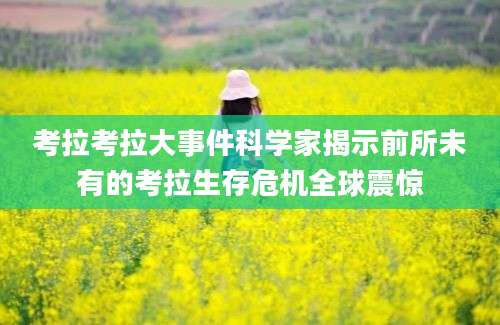 考拉考拉大事件科学家揭示前所未有的考拉生存危机全球震惊