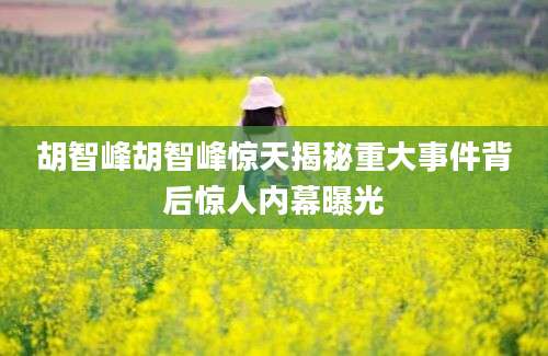 胡智峰胡智峰惊天揭秘重大事件背后惊人内幕曝光
