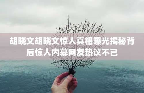 胡晓文胡晓文惊人真相曝光揭秘背后惊人内幕网友热议不已