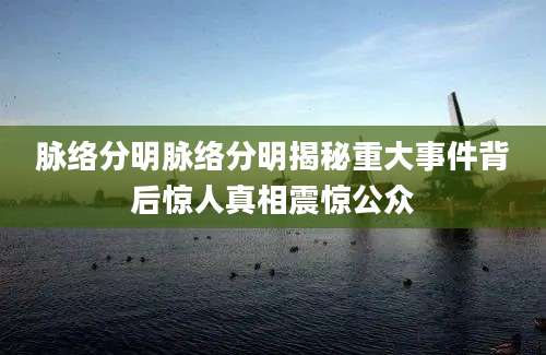 脉络分明脉络分明揭秘重大事件背后惊人真相震惊公众