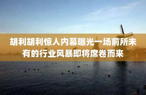 胡利胡利惊人内幕曝光一场前所未有的行业风暴即将席卷而来