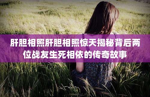 肝胆相照肝胆相照惊天揭秘背后两位战友生死相依的传奇故事