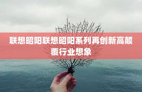 联想昭阳联想昭阳系列再创新高颠覆行业想象