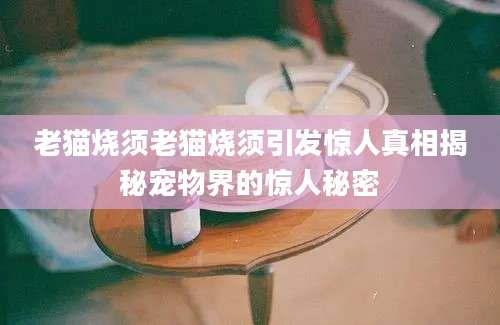 老猫烧须老猫烧须引发惊人真相揭秘宠物界的惊人秘密