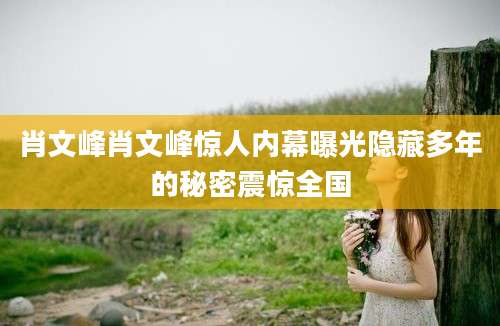 肖文峰肖文峰惊人内幕曝光隐藏多年的秘密震惊全国