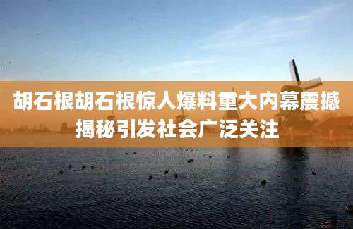 胡石根胡石根惊人爆料重大内幕震撼揭秘引发社会广泛关注