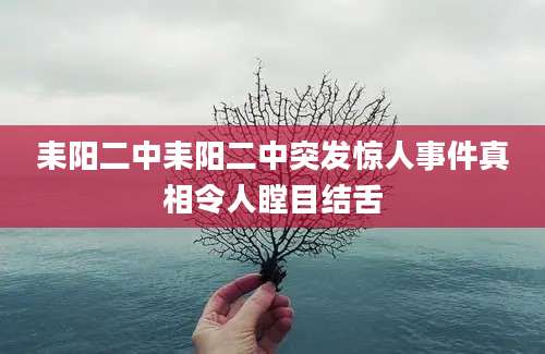 耒阳二中耒阳二中突发惊人事件真相令人瞠目结舌