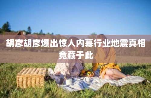 胡彦胡彦爆出惊人内幕行业地震真相竟藏于此