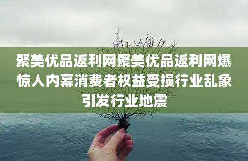 聚美优品返利网聚美优品返利网爆惊人内幕消费者权益受损行业乱象引发行业地震