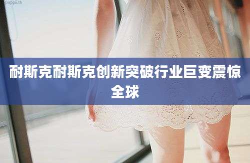 耐斯克耐斯克创新突破行业巨变震惊全球