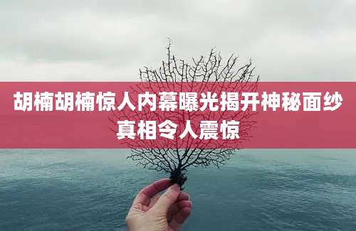 胡楠胡楠惊人内幕曝光揭开神秘面纱真相令人震惊