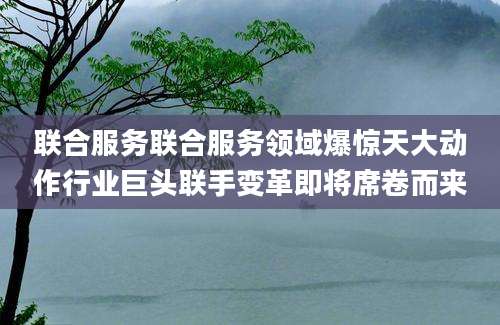 联合服务联合服务领域爆惊天大动作行业巨头联手变革即将席卷而来