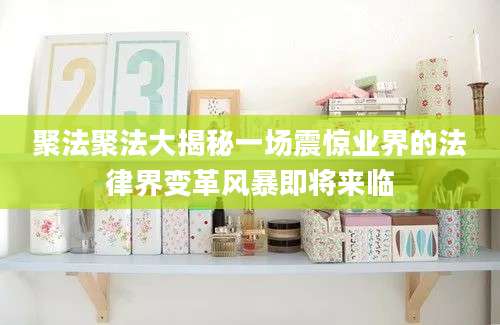聚法聚法大揭秘一场震惊业界的法律界变革风暴即将来临