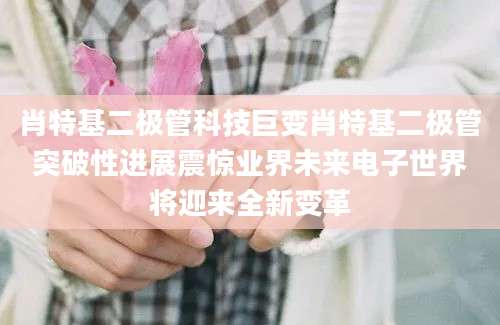 肖特基二极管科技巨变肖特基二极管突破性进展震惊业界未来电子世界将迎来全新变革