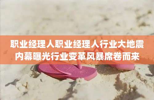职业经理人职业经理人行业大地震内幕曝光行业变革风暴席卷而来
