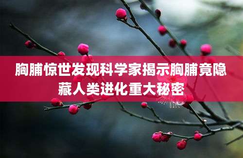 胸脯惊世发现科学家揭示胸脯竟隐藏人类进化重大秘密