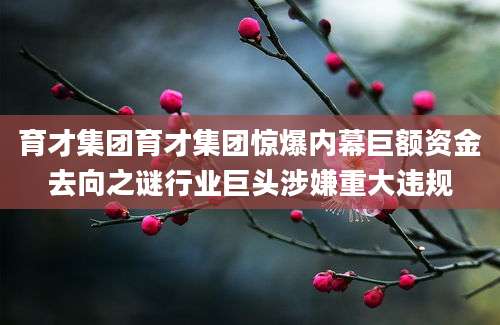 育才集团育才集团惊爆内幕巨额资金去向之谜行业巨头涉嫌重大违规