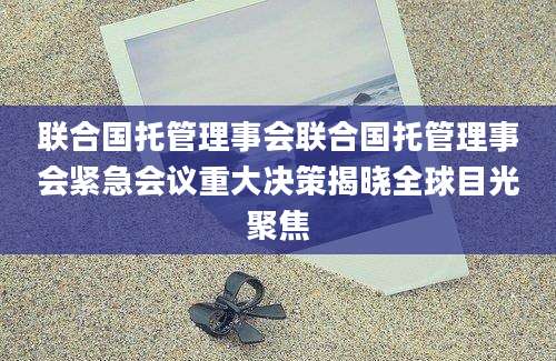 联合国托管理事会联合国托管理事会紧急会议重大决策揭晓全球目光聚焦