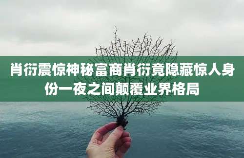 肖衍震惊神秘富商肖衍竟隐藏惊人身份一夜之间颠覆业界格局