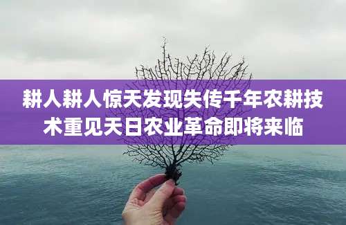 耕人耕人惊天发现失传千年农耕技术重见天日农业革命即将来临