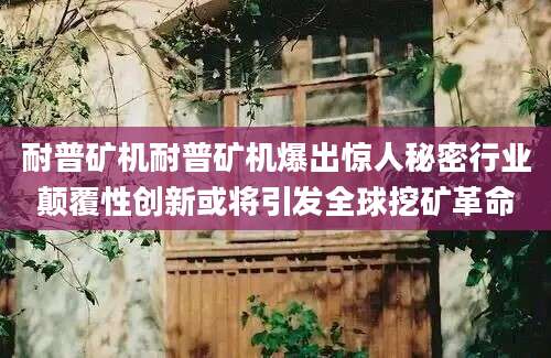 耐普矿机耐普矿机爆出惊人秘密行业颠覆性创新或将引发全球挖矿革命