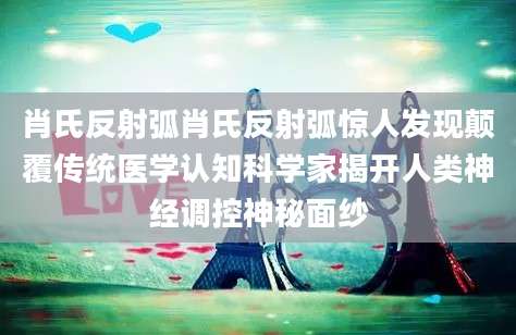 肖氏反射弧肖氏反射弧惊人发现颠覆传统医学认知科学家揭开人类神经调控神秘面纱