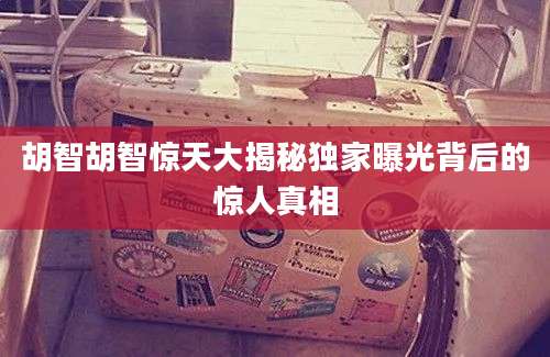 胡智胡智惊天大揭秘独家曝光背后的惊人真相