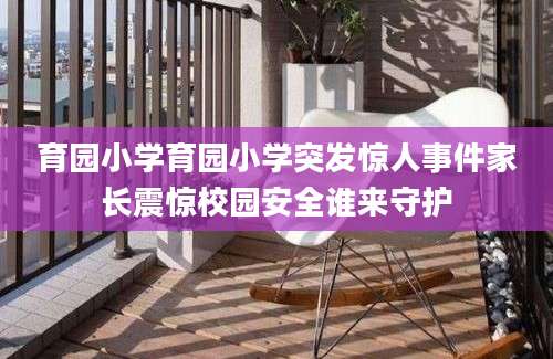 育园小学育园小学突发惊人事件家长震惊校园安全谁来守护