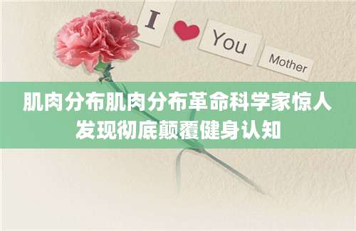 肌肉分布肌肉分布革命科学家惊人发现彻底颠覆健身认知