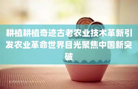 耕植耕植奇迹古老农业技术革新引发农业革命世界目光聚焦中国新突破