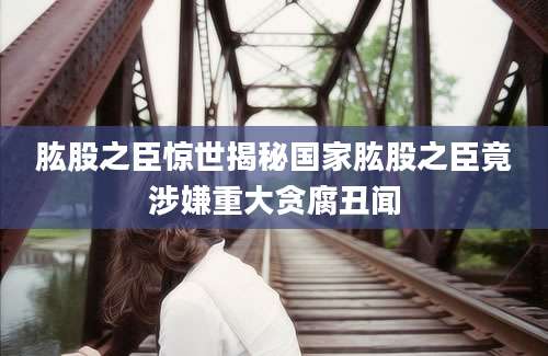 肱股之臣惊世揭秘国家肱股之臣竟涉嫌重大贪腐丑闻