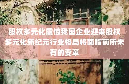 股权多元化震惊我国企业迎来股权多元化新纪元行业格局将面临前所未有的变革